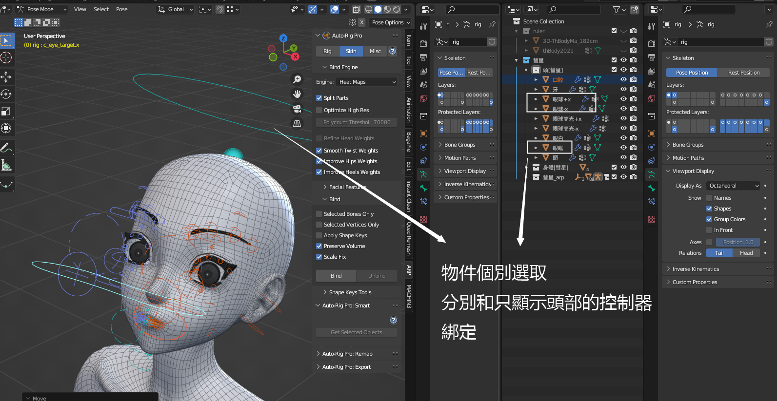 Blender Auto-Rig Pro (ARP)插件 Get Selected Objects 操作截圖